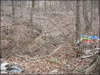 My Gallery: Image